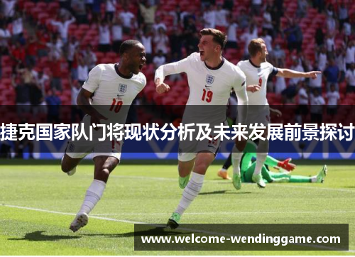 捷克国家队门将现状分析及未来发展前景探讨